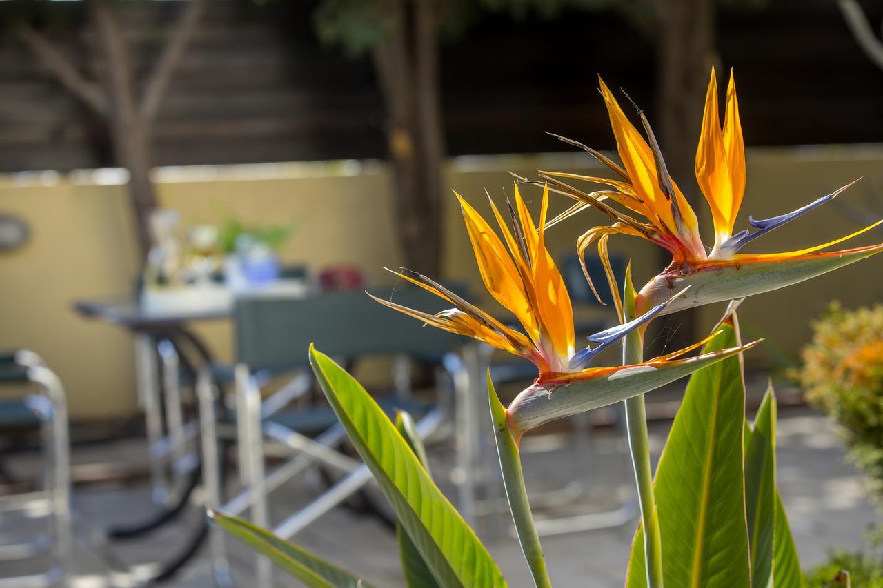 Ayia Napa Tropical Beach Villa 외부 사진